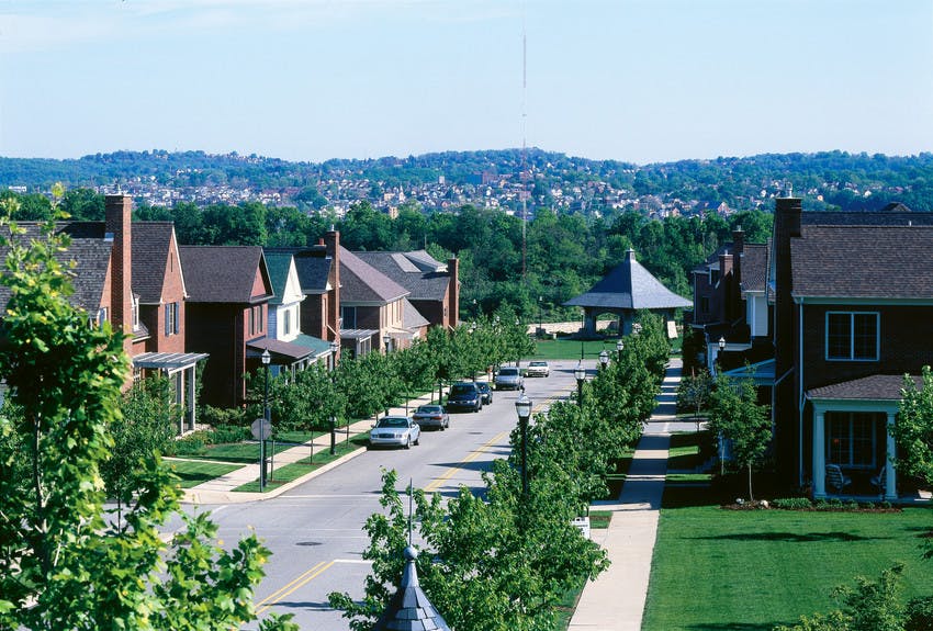 arial view of residential neighborhood with trees