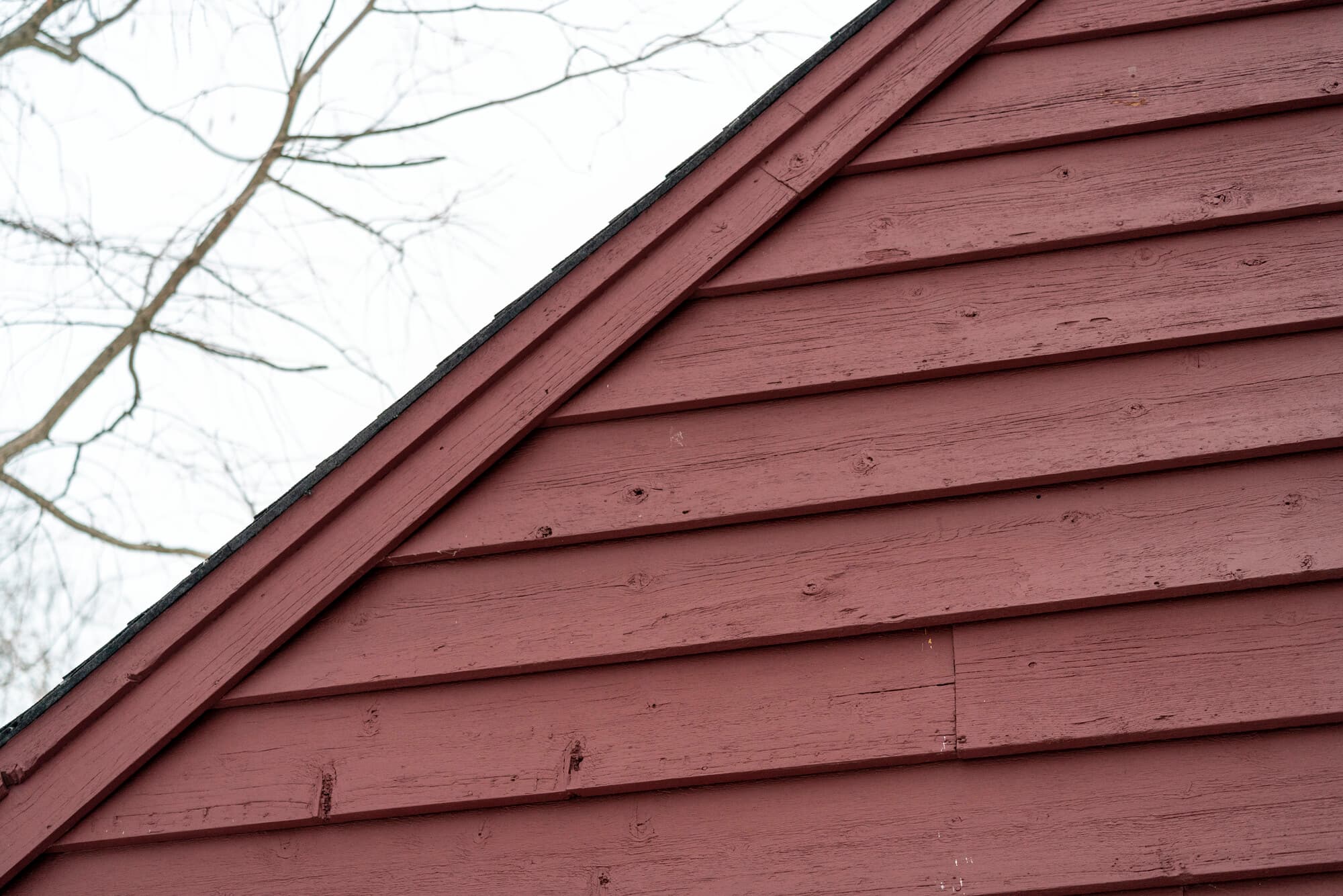 Decide to Re-side: Close-up on cedar siding with pest damage Close-up on cedar siding with pest damage