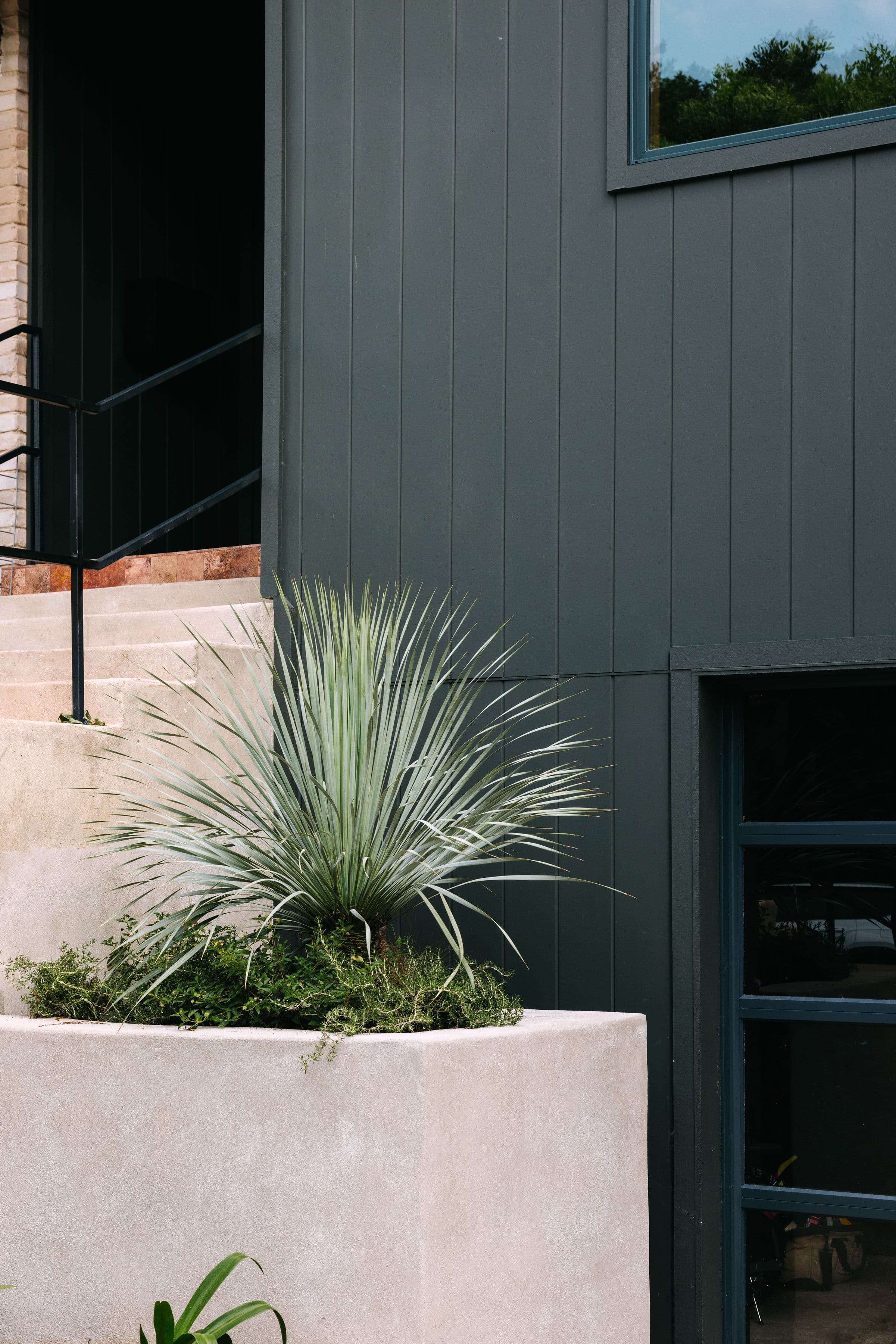 Kim Wolfe exterior close detail on plant Kim Wolfe exterior close detail on plant. House clad in Hardie® Artisan® V-Groove installed vertically